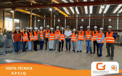 VISITA TÉCNICA